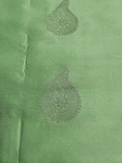 Timeless Paisley - Kancheevaram  semi-silk saree