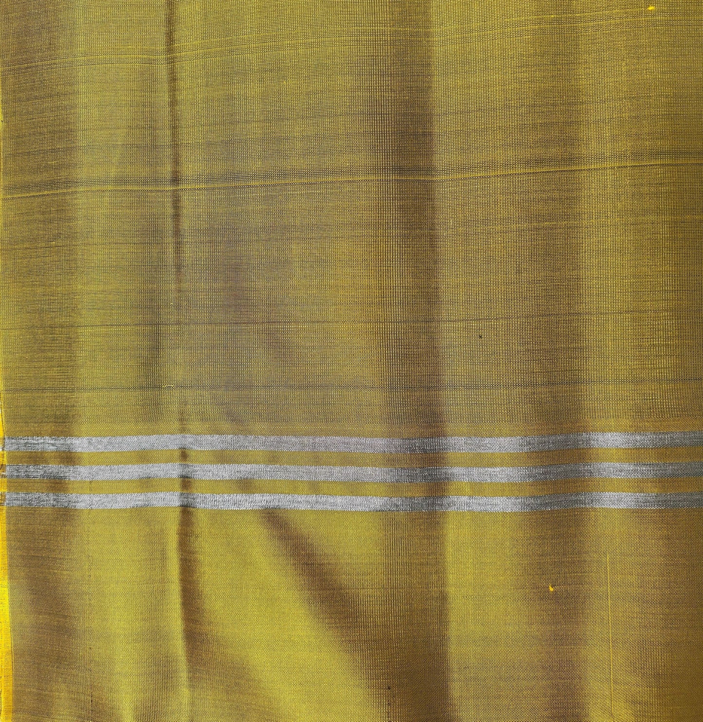The Motif Classic - Handloom saree with bentex border