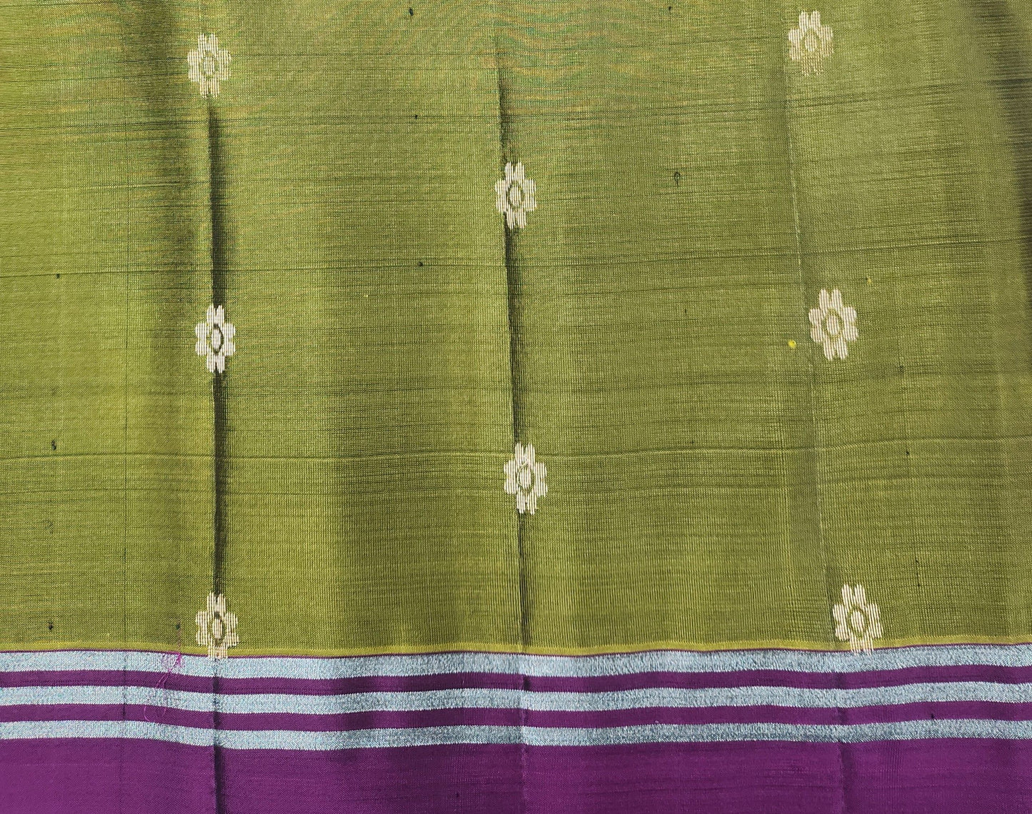 The Motif Classic - Handloom saree with bentex border
